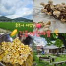 신니면 주민자치센터 화장실 | 긴들체험마을, 충주 가볼만한곳에서 즐긴 충청도 여행, 버섯 수확 체험과 사과팝콘 만들기