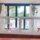 스프링그루밍 이미지