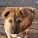 울엄니김밥 이미지