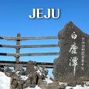 저단25 | 한라산 백록담 성판악 코스 후기 | 등산 초보에겐 어땠을까? (주차장, 소요시간, 등정인증서)