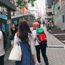 포테이토리
