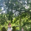 왕궁동물병원 | 가족여행 코스: 우붓 시내 관광(몽키 포레스트-카페 로터스-우붓 왕궁-쇼핑-누사테라피 마사지-신씨화로)