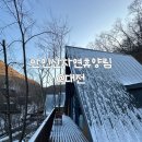 만인산 | 대전 만인산자연휴양림 후기