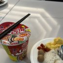 텔레파시마켓 | 지금 홍콩은 완젼 봄🌷