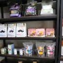 아임독 애견샵 이미지