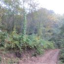 인제02-2 이미지