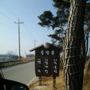 솔밭촌 이미지