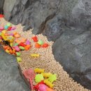 섬진강어류생태관 이미지