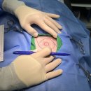 다산동물병원 이미지