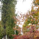 좋은사이 이미지