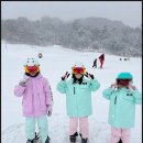 무주 무주스키강습 타자고 후기 제대로 배우는 무주 스키강습 추천