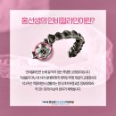홍선생치과교정과치과의원 이미지