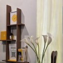 뮬피부과의원 이미지