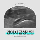 만덕24시동물병원 이미지