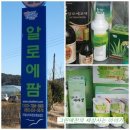 알로에팜영농조합법인 이미지