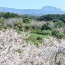 월산목장(2) 이미지