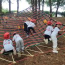 남천초교병설유치원 이미지