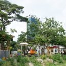 황토닭갈비 이미지