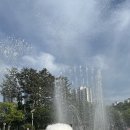 앙꼬집