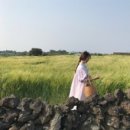 하도리 보통날 이미지