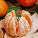 동준농장 이미지