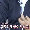 아일랑트