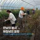 본오1동주민센터 페달로옆 | [플래닛주민센터] GKL 지역상생 볼런투어:영종도 봉사여행 후기