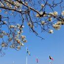 유엔기념공원주차장 이미지