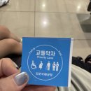 세화비지니스 | 엄마랑 아이와 둘이서 제주여행 - 1,2일차 여행기록