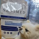 오스테오인 | 프리미엄 사료 추천 세니메드 AO 안티오스테오 독 골관절 급여후기