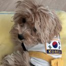 서서동물의료센터 | [리얼로그]솜길동물의료센터