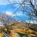 덕치면 천담2길 전북 네이버블로그