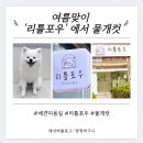 리틀포우 이미지