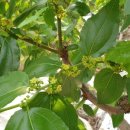 한일환경(주) 이미지