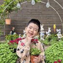 꽃무지풀무지유치원 이미지