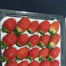 석찬농장 이미지