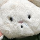 무진 스튜디오