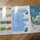 울릉도성인봉아래투어