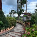 삽교주유소 | [국내카페] 당진_로드1950