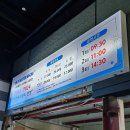 스카이워터쇼 | 삼남매네 제주도 가족여행 2일차 일정 스카이워터쇼 관람 후기