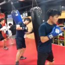 번영 복싱체육관 이미지