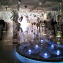 웨딩프로포즈 이미지