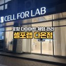 샤브향(오천점) | 포항 체형관리 셀포랩 다온점 직장인 다이어트 후기