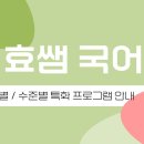 효쌤국어논술학원 네이버블로그