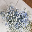 의료법인 아주효성의료재단 효성요양병원 | 수원 요양병원 마지막까지 편안하게 모실 수 있을 거 같아요