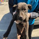 미원중학교 이미지