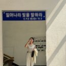 깜지미용실 | 3월 일상(2)+벚꽃엔딩