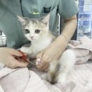 천지동물병원 이미지