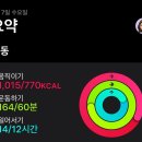 수영어패럴