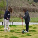 더케이 동물병원 이미지